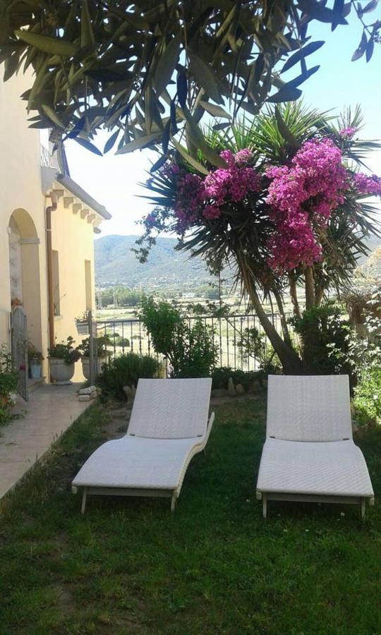 אולביה B&B Villa Orchidea מראה חיצוני תמונה