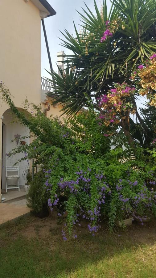 אולביה B&B Villa Orchidea מראה חיצוני תמונה