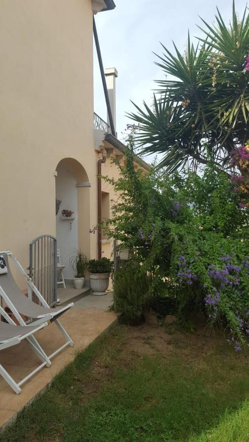 אולביה B&B Villa Orchidea מראה חיצוני תמונה