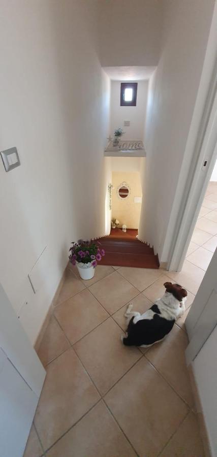 אולביה B&B Villa Orchidea מראה חיצוני תמונה