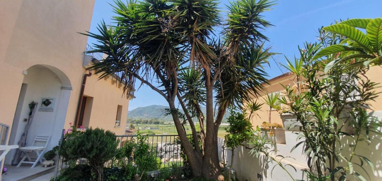 אולביה B&B Villa Orchidea מראה חיצוני תמונה