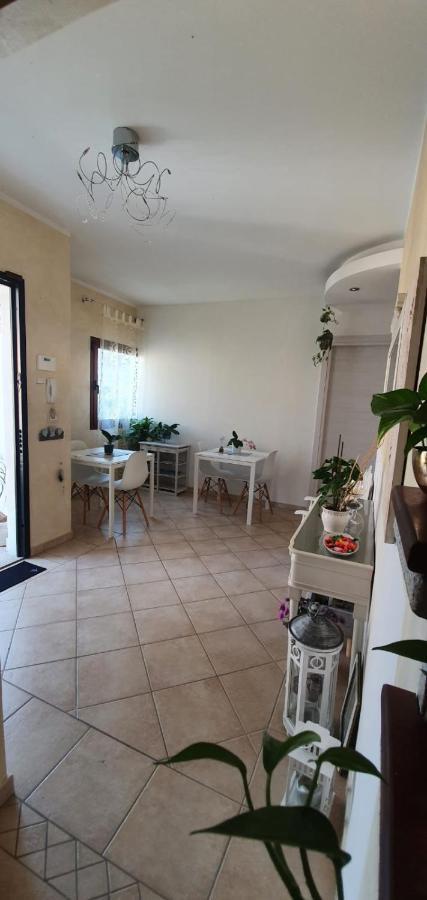 אולביה B&B Villa Orchidea מראה חיצוני תמונה